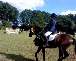 dressage horse Santiago Di Compostela (Hanoverian, 2005, from San Remo)