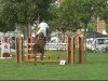 jumper Balyon (Oldenburg show jumper, 2002, from Baloubet du Rouet)