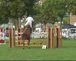 jumper Balyon (Oldenburg show jumper, 2002, from Baloubet du Rouet)