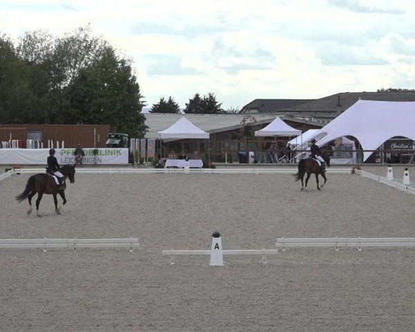 Reitturnier Leichlingen-Witzhelden 2022