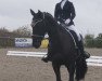 horse Gido 18 (KWPN (Royal Dutch Sporthorse), 2011, from Plain's Black Beauty)