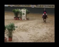 jumper Hotspot (German Riding Pony, 2006, from Halifax)