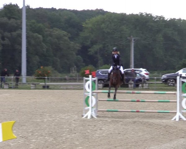 Reitturnier Bad Liebenstein/Sorga 2022