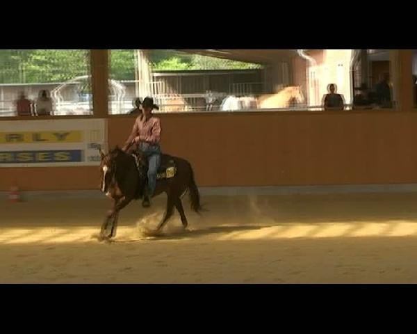 horse Senorita Chic Olena (Quarter Horse, 2005, from Smart Chic Olena)