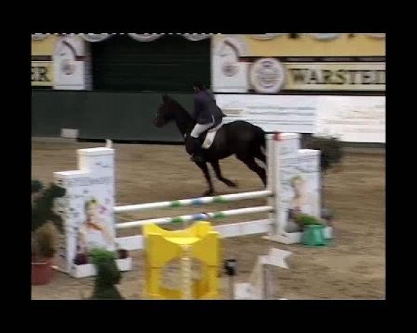 jumper Igel 3 (German Warmblood, 1994, from Irkut)