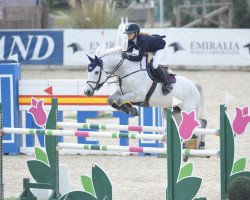 jumper Elisabeth (KWPN (Royal Dutch Sporthorse), 2009, from Applaus)