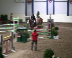 jumper Martin my love Mo (German Riding Pony, 2005, from Mentos Charmeur)