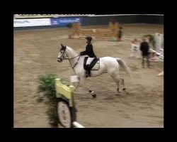 jumper Domino L 2 (Westphalian, 1998, from Del Mar L)