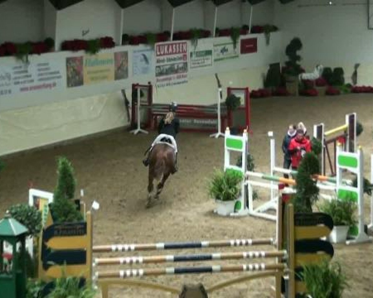 jumper Frankenbach Reon (German Riding Pony, 2003, from Oosteinds Ricky)