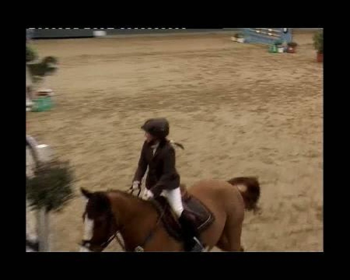 Springpferd Jim Bob 8 (Hannoveraner, 2000, von Escudo I)