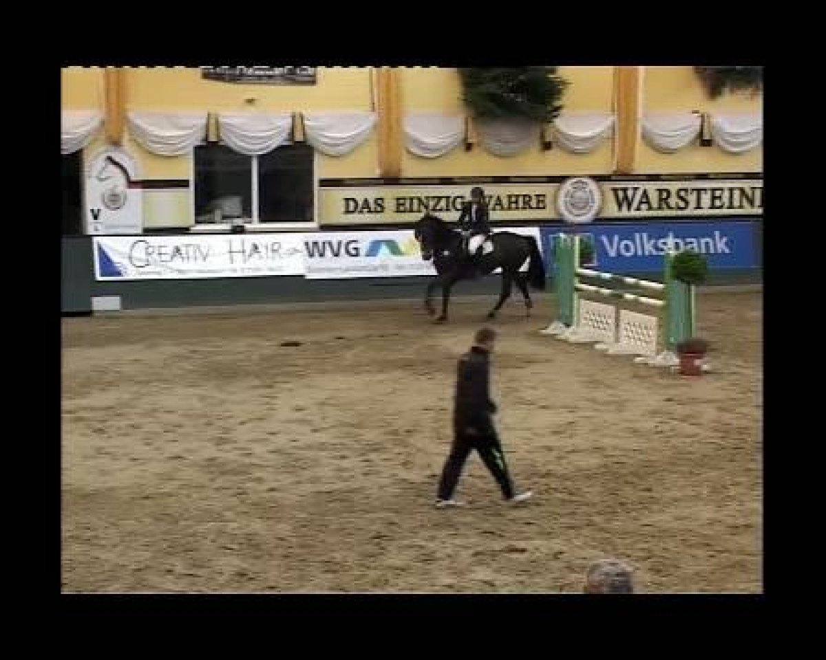 jumper Dumbledore L (Westphalian, 2001, from Dinard L)