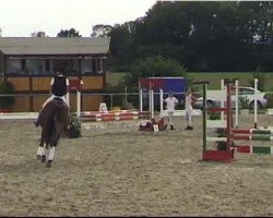 dressage horse Nixe 107 (Westphalian, 1993, from Navaro)