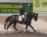 dressage horse Dannenberg S (Oldenburg, 2003, from Danny Wilde)