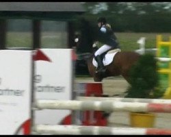 jumper Nala 36 (German Riding Pony, 1993, from Apslau xx)