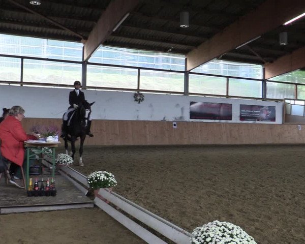 Reitturnier Meinerzhagen 2022