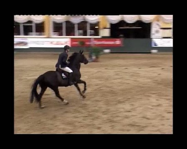 jumper Rapunzel S (Hanoverian, 2001, from Rabino)