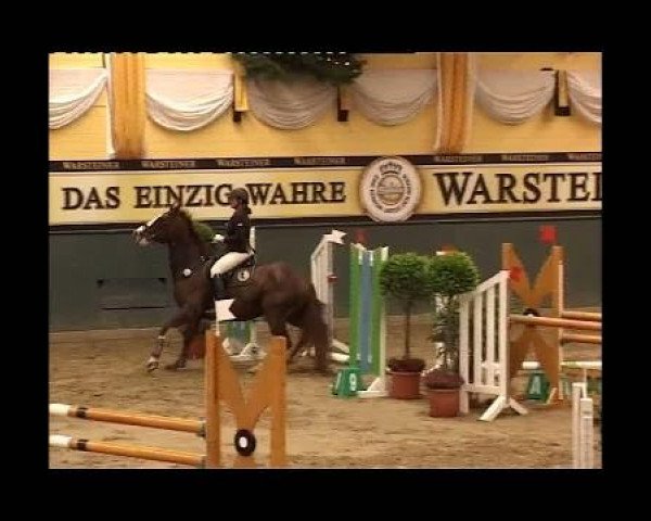 Pferd Satchmo 115 (Oldenburger, 2003, von Shine On)