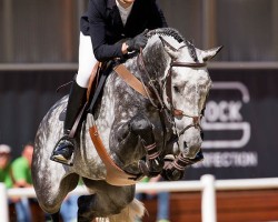 broodmare Eunomia (KWPN (Royal Dutch Sporthorse), 2009, from Singapore)