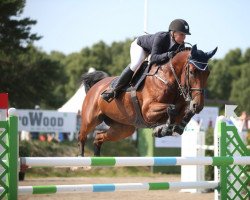 jumper Bonita (KWPN (Royal Dutch Sporthorse), 2006, from Ovidius)