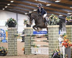 Springpferd Happy Girl (Belgisches Reitpony, 2007, von Cabrio van de Heffinck)