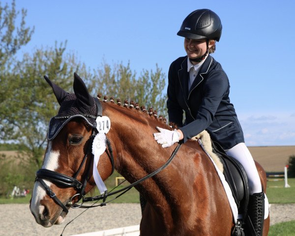 dressage horse Rivalin 68 (Hanoverian, 2009, from Rotspon)