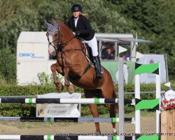 jumper Laloki (Hanoverian, 2007, from Lordanos)