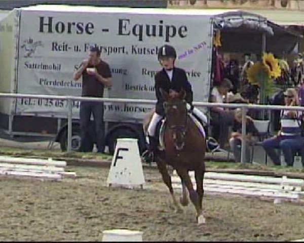 dressage horse Mirco 85 (German Riding Pony, 1992, from Mylord)