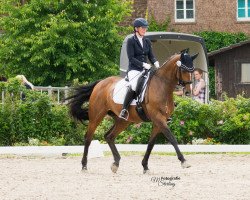 dressage horse Fiorina 21 (Rhinelander, 2005, from Fürst Piccolo)