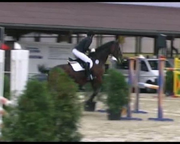 jumper Freestyler 3 (Hanoverian, 1996, from Frappant)