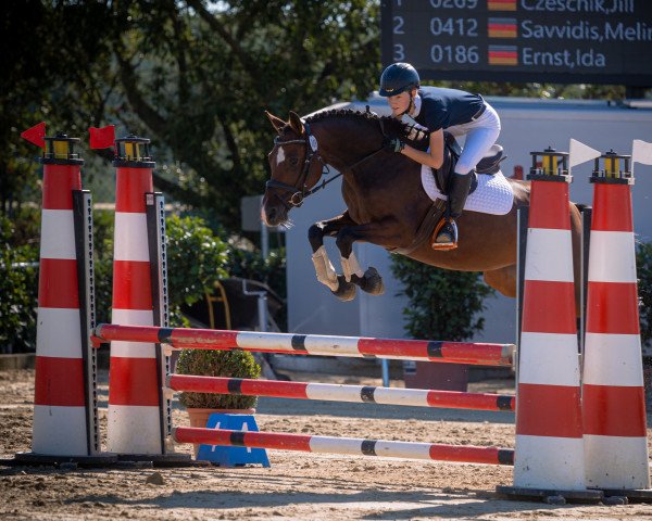 jumper Miss Cookie Hw (German Riding Pony, 2015, from Don Quichotte)