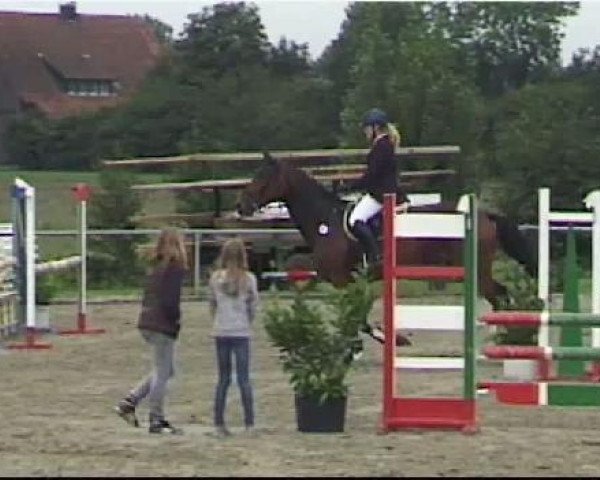 horse Hugerlandshof's C'est la vie (Westphalian, 2004, from Collin L)