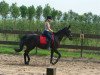 dressage horse Ronja von Rosentau (Hanoverian, 2002, from Rosentau)