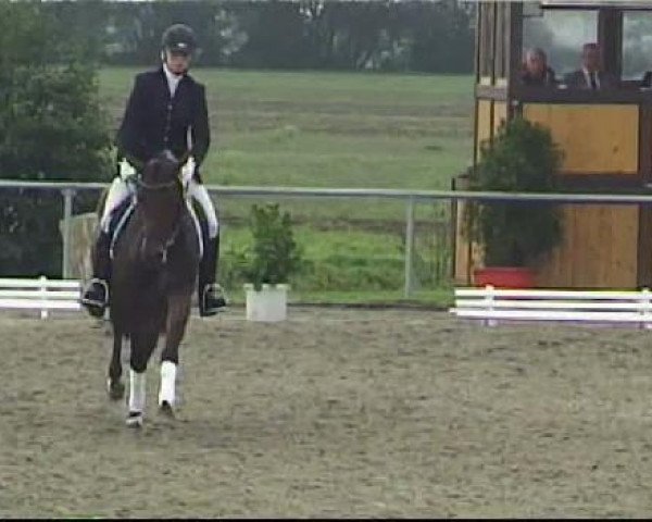 dressage horse Funny F (Westphalian, 2007, from First Final)