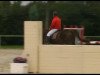 jumper Forlan (Hanoverian, 2006, from For Pleasure)