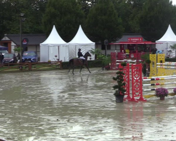 Equus Colonius - Reitanlage Brüse 2022