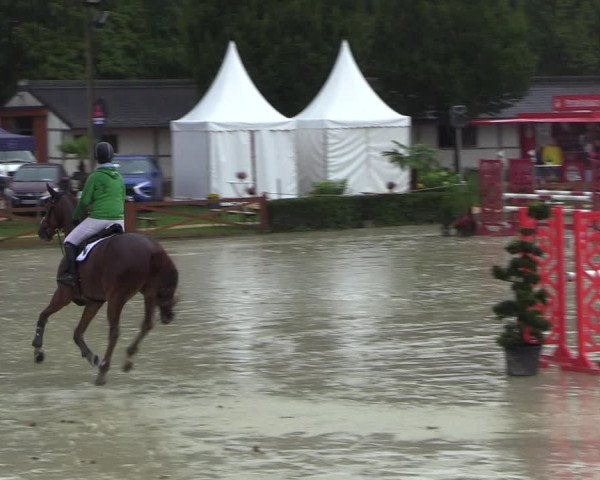 Equus Colonius - Reitanlage Brüse 2022