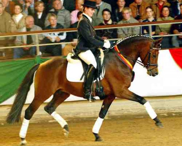 stallion Charm of Nibelungen (German Riding Pony, 1999, from Chantre B)
