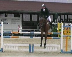 jumper Samson 433 (Hanoverian, 2004, from Stakkato)