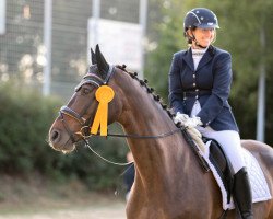 dressage horse C'Est La Strada (Hanoverian, 2013, from Competent)