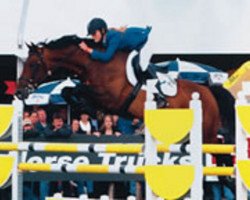 stallion Quincy Z (KWPN (Royal Dutch Sporthorse), 1996, from Quick Star)