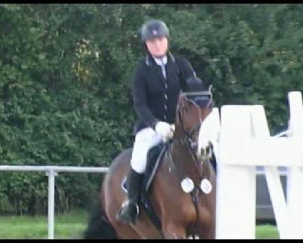 broodmare Capri 85 (Westphalian, 2005, from Cayetano L)