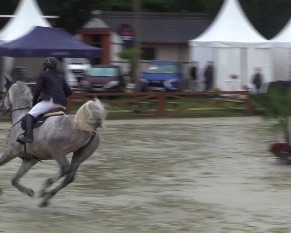 Equus Colonius - Reitanlage Brüse 2022