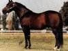 stallion Doc Tom Tucker (Quarter Horse, 1972, from Doc Bar)