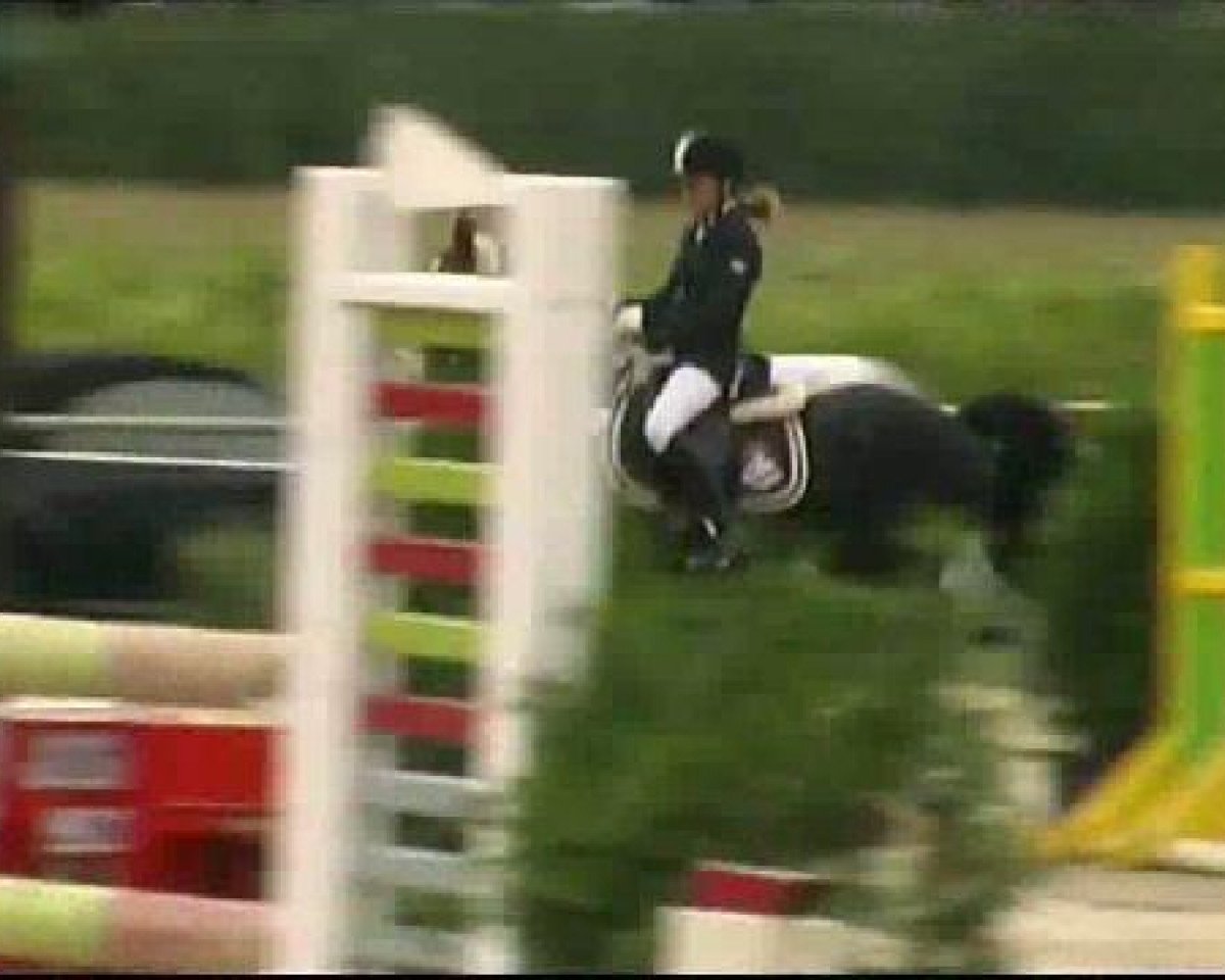 dressage horse Nemo 50 (Welsh-Pony (Section B), 1991, from Ffoslas Welsh Flyer)