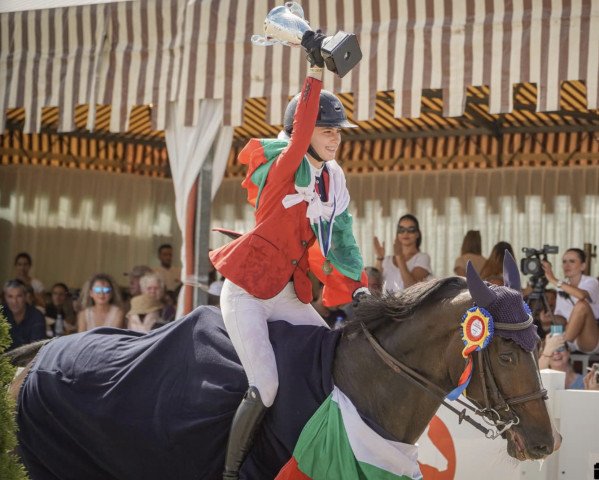 jumper Cazenta (Holsteiner, 2011, from Cantoblanco)