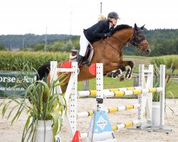 jumper Thais Em CH (Swiss Warmblood, 2013, from Newton de Kreisker)