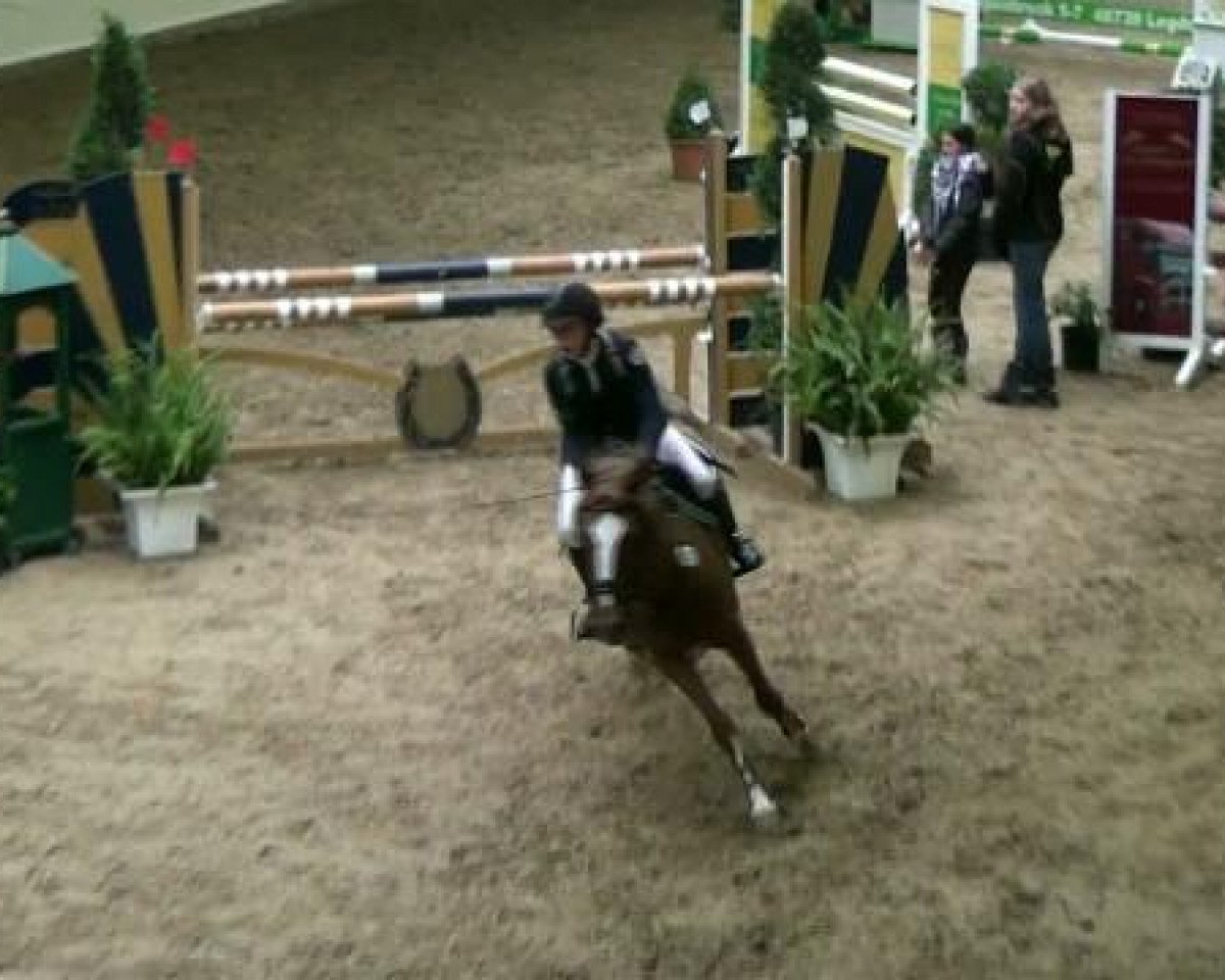 Springpferd Zauberwald Clover's First Girl (Deutsches Reitpony, 2003, von Monte Verdi)