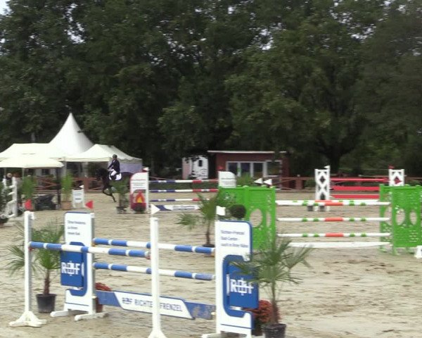 Equus Colonius - Reitanlage Brüse 2022