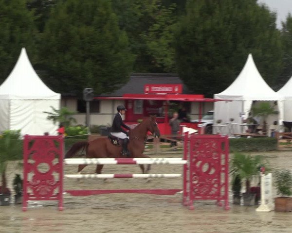 Equus Colonius - Reitanlage Brüse 2022