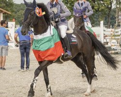 jumper Jesica (Oldenburg show jumper, 2010, from Diarado)